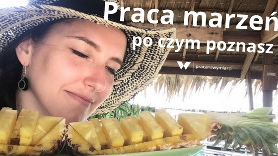 Po czym poznasz pracę marzeń